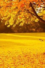 Yellow Autumn Journal: Blank 200 Page Journal