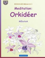 BROCKHAUSEN M?larbok Vol. 4 - Meditation: Orkidéer: M?larbok