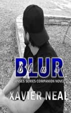 Blur: A Senses Series Companion Novel