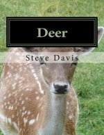 Deer: Adult Coloring Book