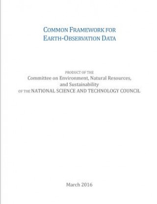Common Framework for Earth-Observation Data