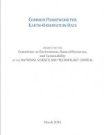 Common Framework for Earth-Observation Data