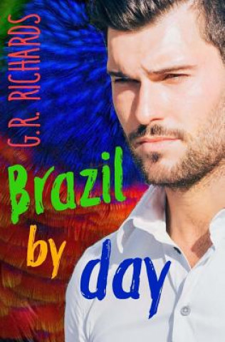 Brazil by Day: Gay Romance