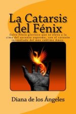 Catarsis del Fenix
