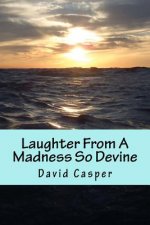 Laughter From A Madness So Devine