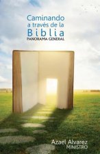 Caminando a Traves de la Biblia: Panorama de la Biblia