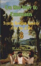 On the Way to Emmaus: Acquiring Revelation Knowledge of the Son of God