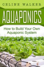 Aquaponics: How to Build Your Own Aquaponic System