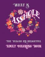 What is Asshole: The Vulgar and Delightful Adult Coloring Book