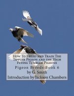 How To Breed and Train The Tippler Pigeon and the High Flying Tumbler Pigeons: Pigeon Breeds Book 6