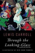 Through the Looking-Glass: Illustrated