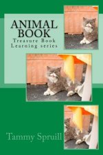 Animal Book: Treasure Book Learning series