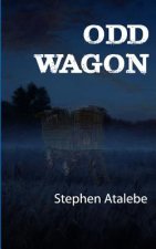 Odd Wagon