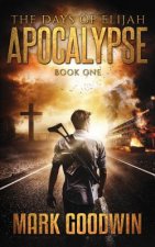 The Days of Elijah, Book One: Apocalypse: A Novel of the Great Tribulation in America