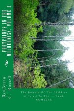 Footprints in the Wilderness: The Journey of the Children of Israel to the Promised Land
