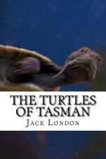 The Turtles of Tasman