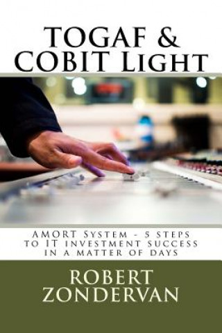 TOGAF & COBIT Light: AMORT System - 5 steps to IT investment success in a matter of days