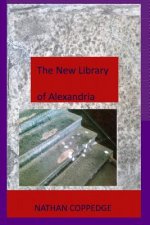 The New Library of Alexandria: Souls of Literature Generated Using A Precise Formula