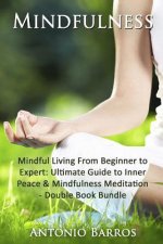Mindfulness: Mindful Living From Beginner to Expert - Double Book Bundle