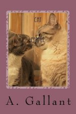 Cat People: Moon Diamond and Sun-Jade