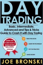 Day Trading: Basic, Intermediate, Advanced and Tips & Tricks Guide to Crash It with Day Trading