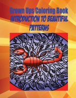Grown Ups Coloring Book Introduction To Beautiful Patterns