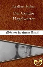 Der Condor - Großschrift: Bonusgeschichte: Hagelwetter