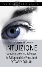 Intuizione