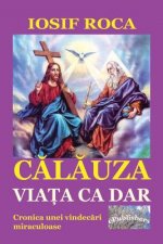 Calauza: Viata CA Dar: Cronica Unei Vindecari Miraculoase