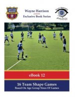 16 Team Shape Games: Based On Age Group Sizes Of Games