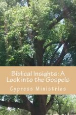Biblical Insights: A Look into the Gospels: Basic study notes for better understanding