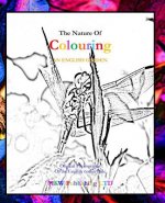 The Nature of Colouring