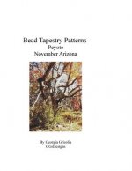 Bead Tapestry Patterns Peyote November Arizona