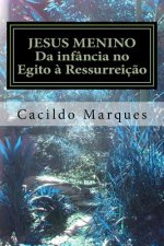 Jesus Menino: Da infância no Egito ? Ressurreiç?o