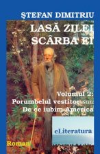 Lasa Zilei Scarba Ei. Roman. Volumul II: Porumbelul Vestitor Sau de Ce Iubim America