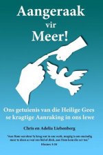 Aangeraak vir Meer!: Werking van die Heilige Gees