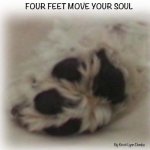 Four Feet Move Your Soul