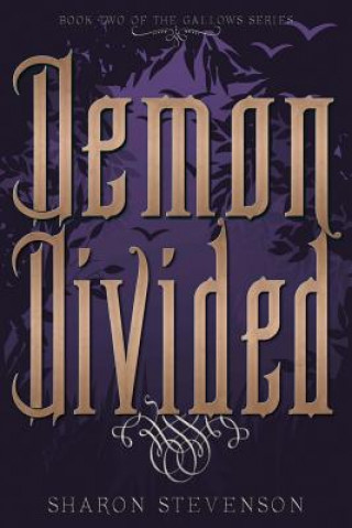 Demon Divided