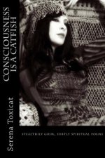 Consciousness Is a Catfish: stealthily grim, subtly spiritual poems