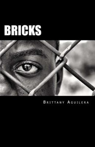 Bricks