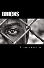 Bricks