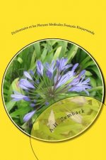 Dictionnaire et les Phrases Médicales Français-Kinyarwanda