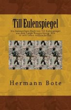 Till Eulenspiegel: Ein kurzweiliges Buch von Till Eulenspiegel aus dem Lande Braunschweig. Wie er sein Leben vollbracht hat.