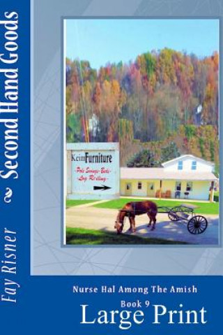 Second Hand Goods: Large Print