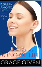 An Amish Romance: Song Of Life