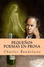 Peque?os Poemas en Prosa