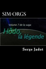 Sim-Orgs