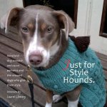 Just for Style Hounds: Hand knit dog sweater and ascot patterns and the rescued dogs who give them style.