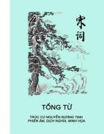 Tong Tu: Phien Am, Dich Nghia, Minh Hoa