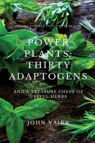 Power Plants: Thirty Adaptogens: And a Treasure Chest of Useful Herbs (John Vajra)(Carte broșată)